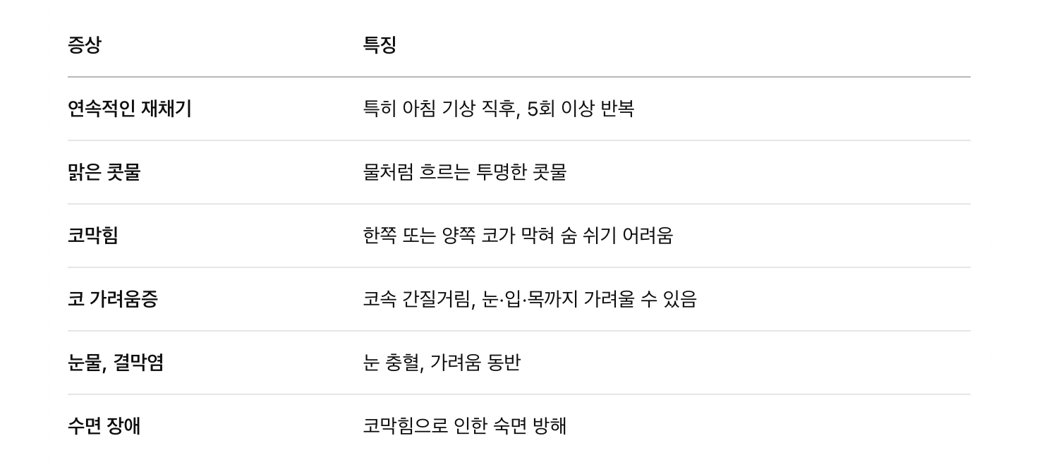 알레르기 비염 증상