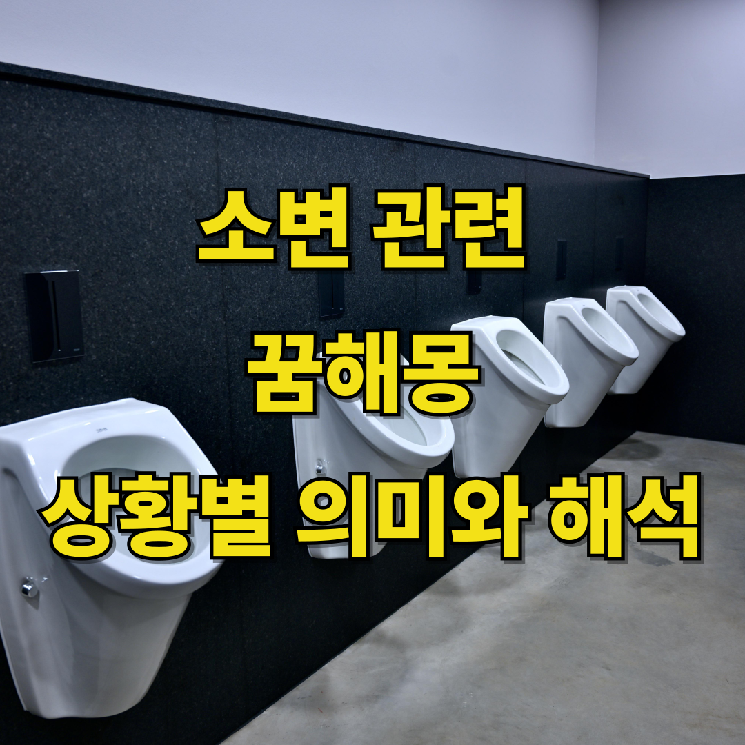 소변 관련된 꿈해몽 완전 분석