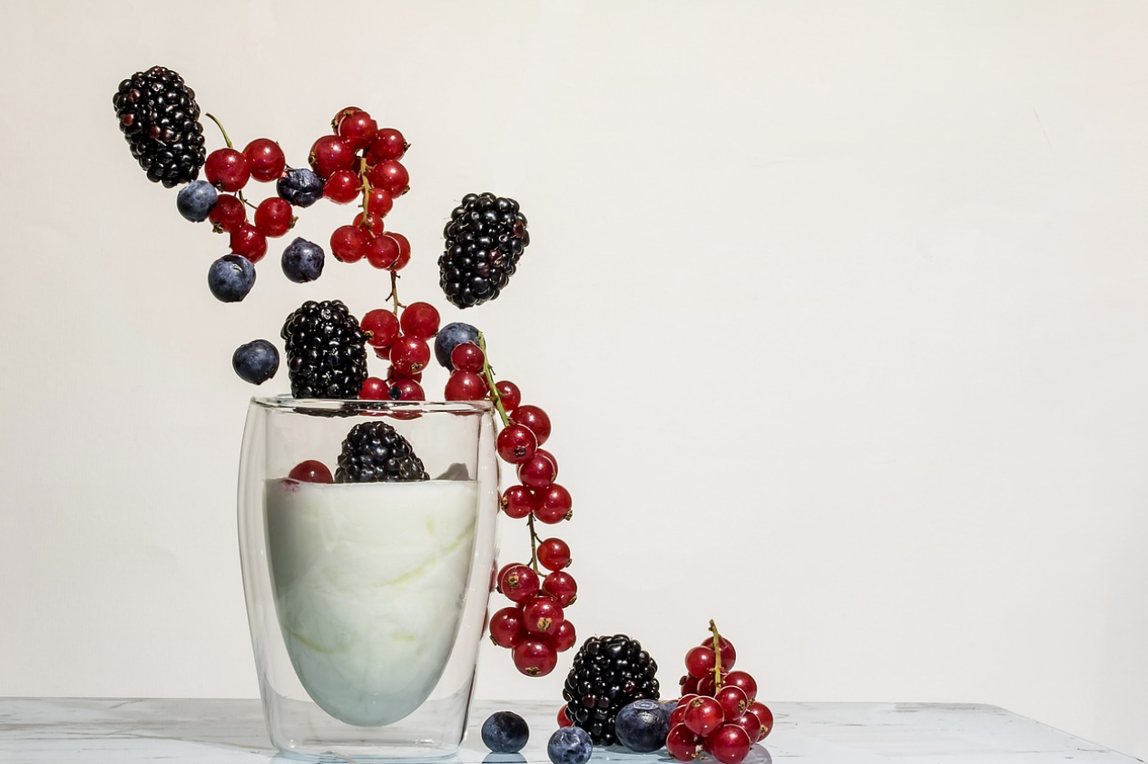 나이별 유산균 섭취방법에 관한 사진