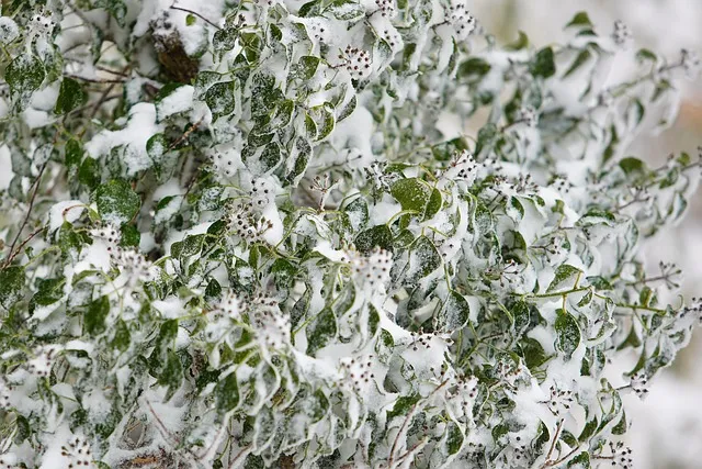 실시간 제주도 제주날씨 주간예보로_4