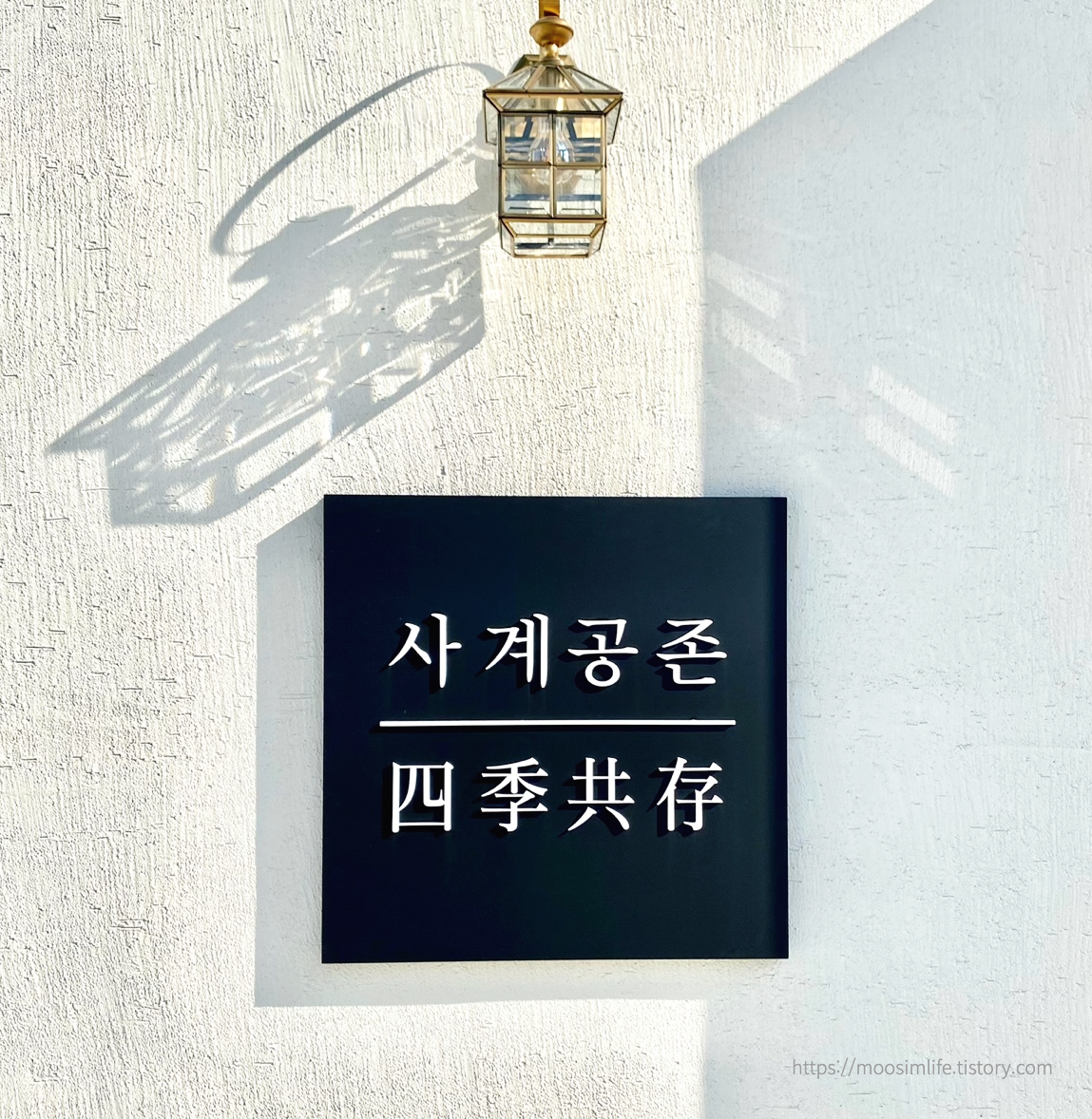 세종 연서면-카페 사계공존