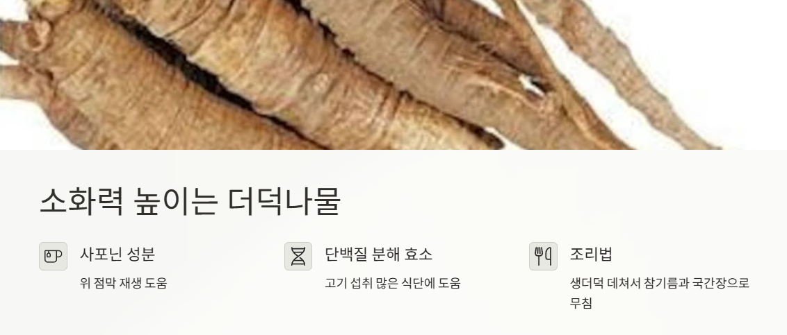 소화력 높이는 더덕나물