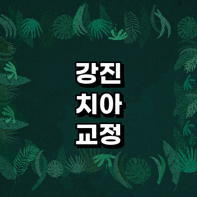 강진군 교정 치과