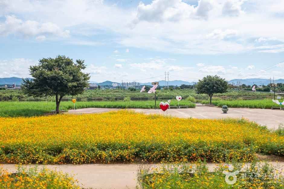 경산 가볼만한곳 베스트 10