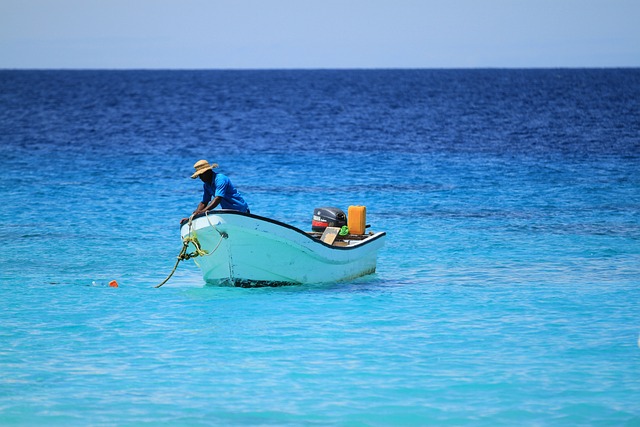 엄정-심사-후-결정
