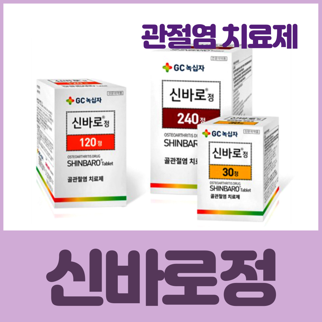 신바로정