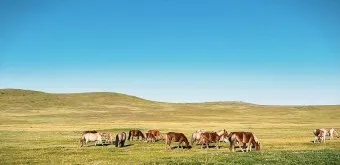 몽골 여행 날씨 필수 준비물_15