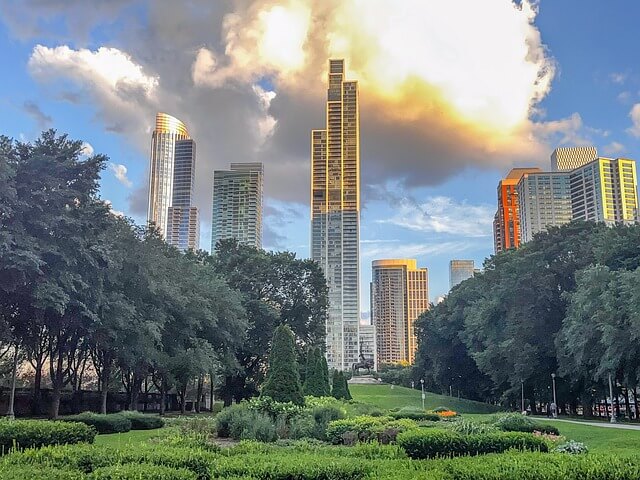 AI와 도시 나무의 바람길 유지에 미치는 영향