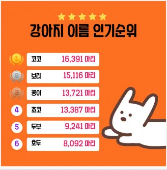 반려견 이름 작명 독특한 강아지 이름 제안_20