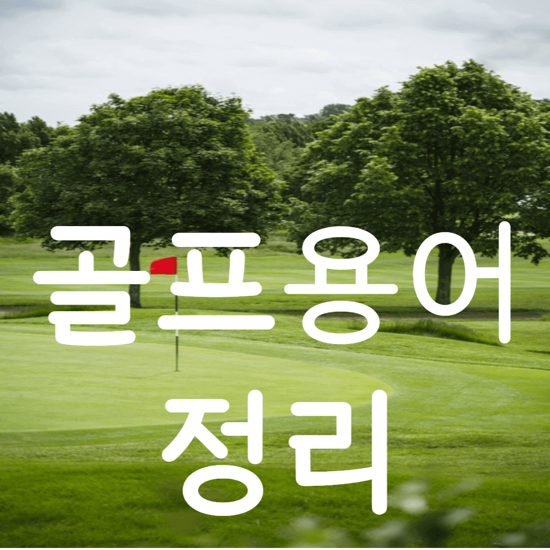 골프용어정리