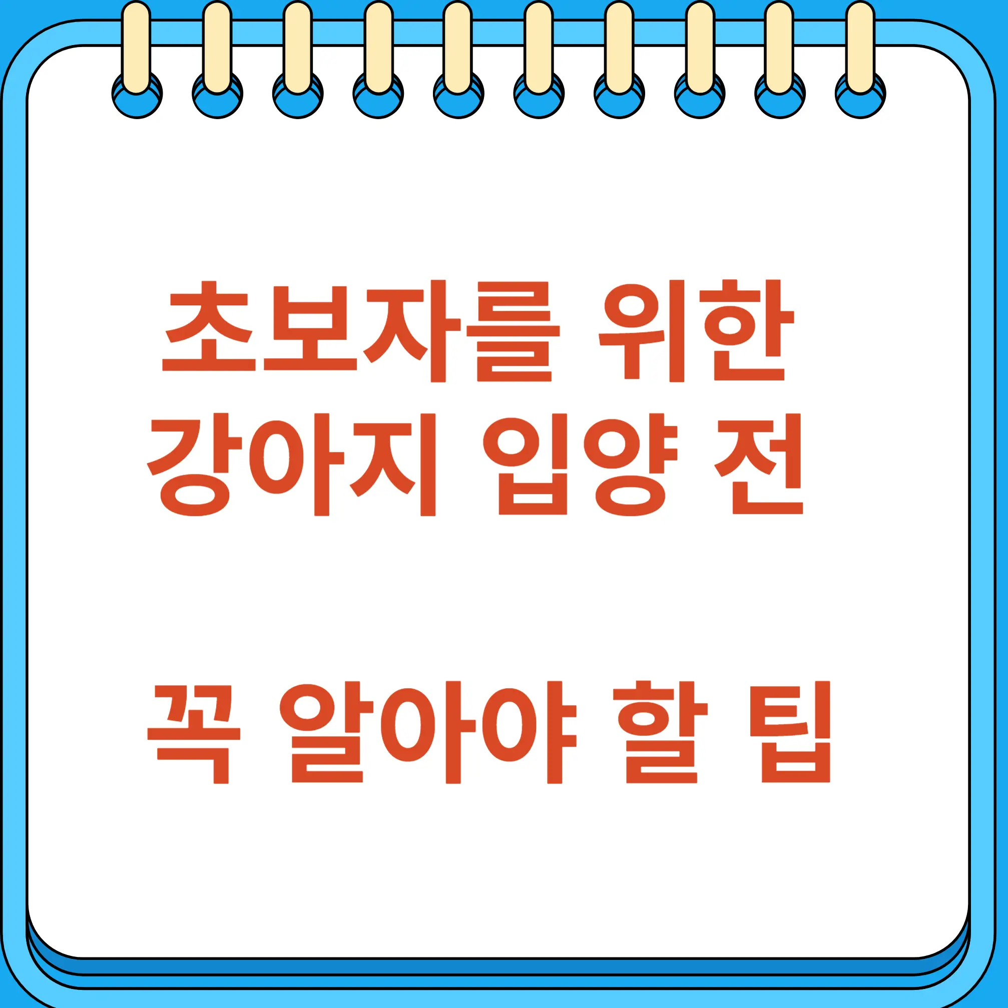 초보자를 위한 강아지 입양 전 꼭 알아야 할 팁