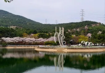 춘천 호수 산책 소양강 스카이워크 닭갈비 동선_3