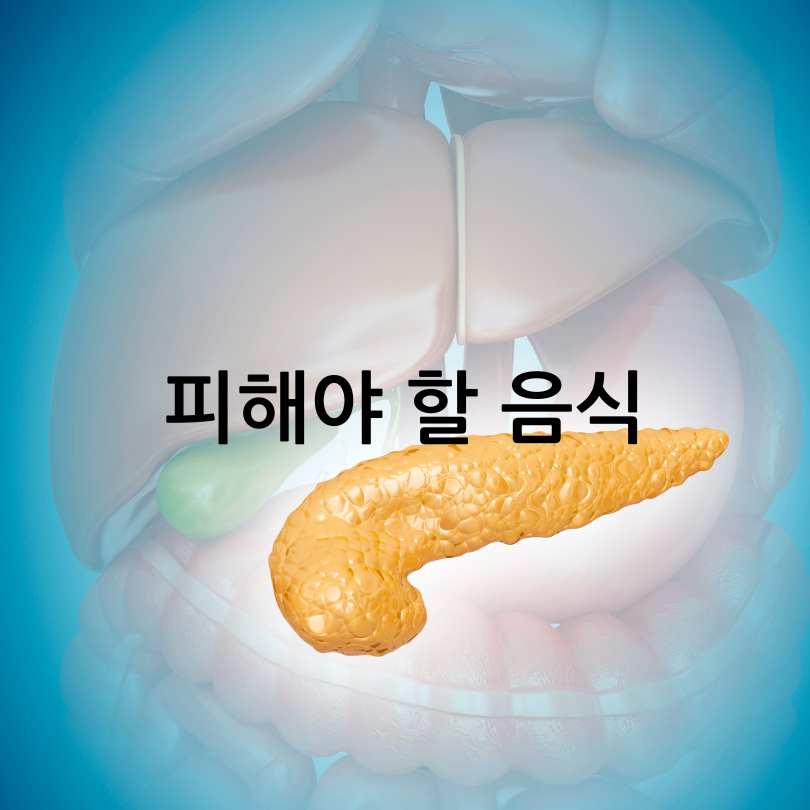 췌장에 좋은 음식
