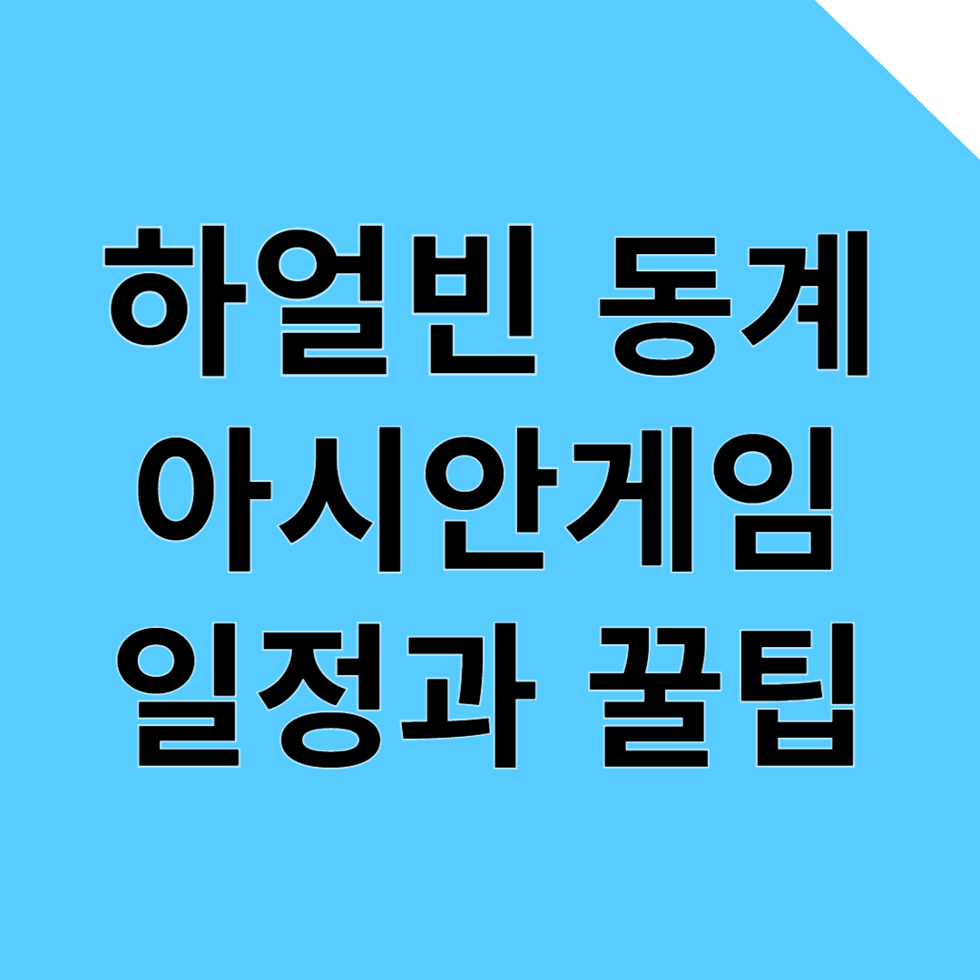 2025 하얼빈 동계 아시안게임 일정과 직관 꿀팁