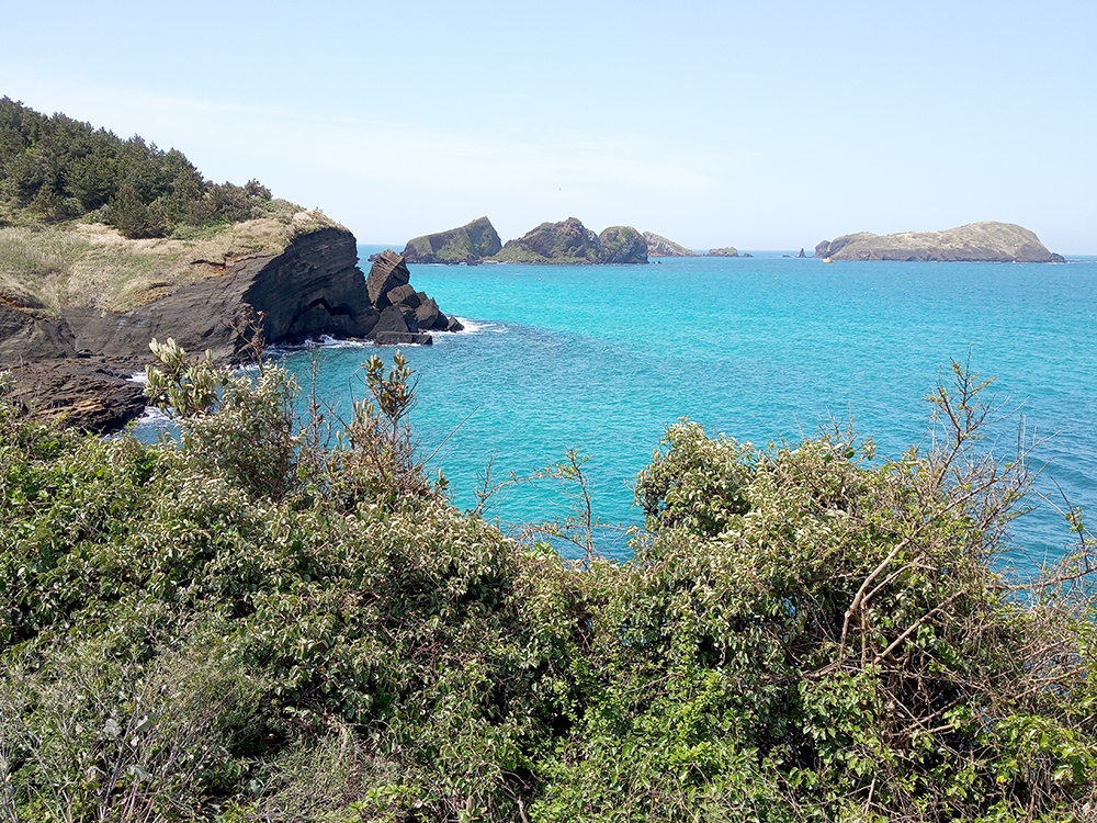 올레12코스: 용수리포구에서 무릉외갓집까지