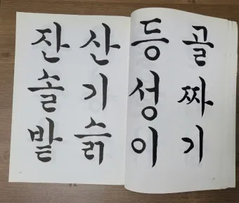 서예교본 활용해 먹과 붓으로 표현하는 예술 세계 입문_11