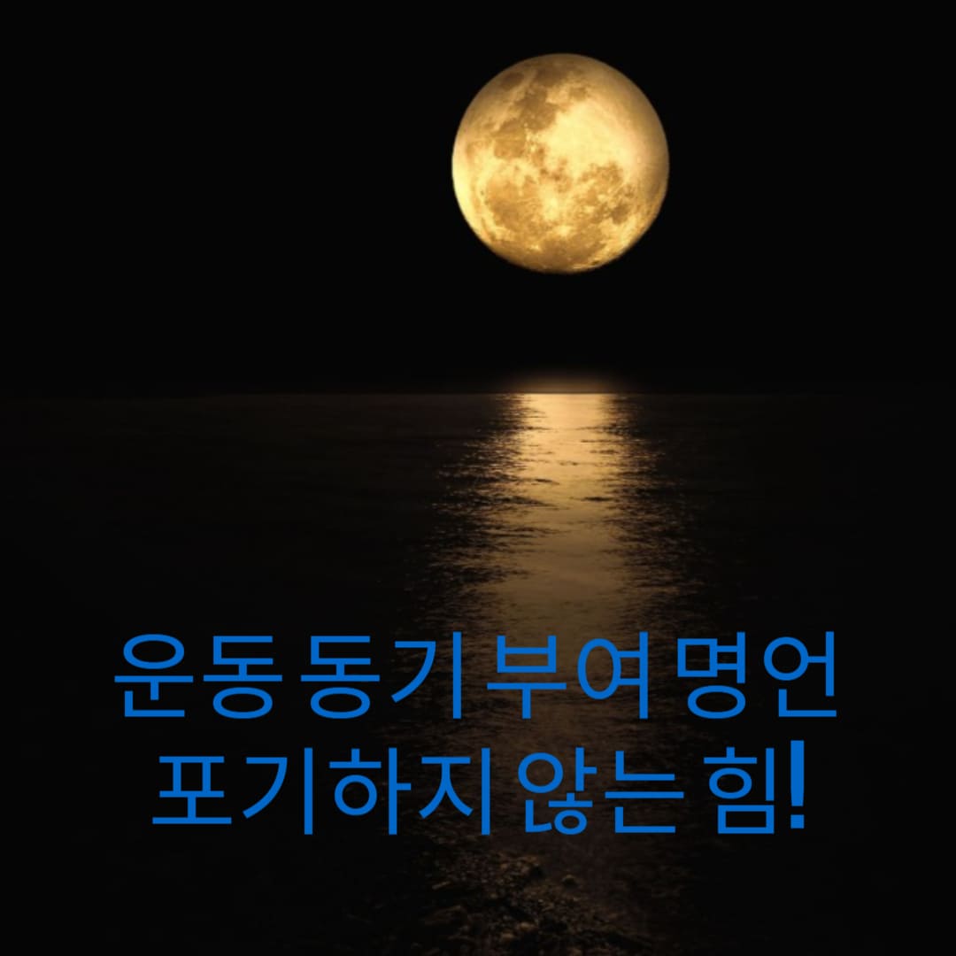 운동-동기-부여-명언-포기하지-않는-힘-썸네일