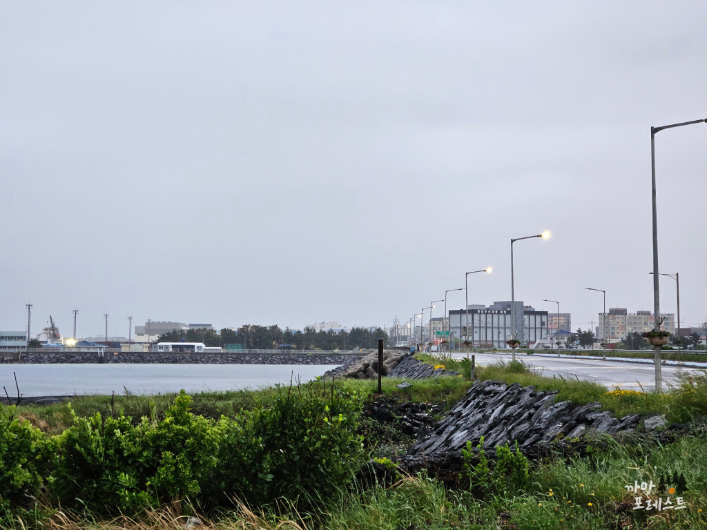 고향 흑돼지 해안도로