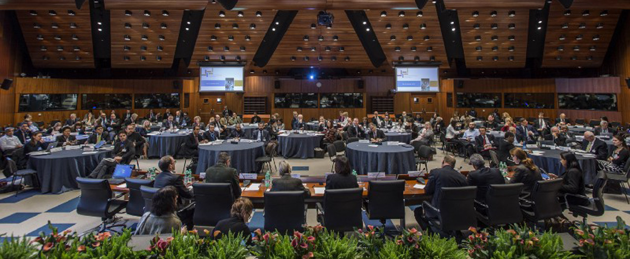 NGO와-정부의-관계