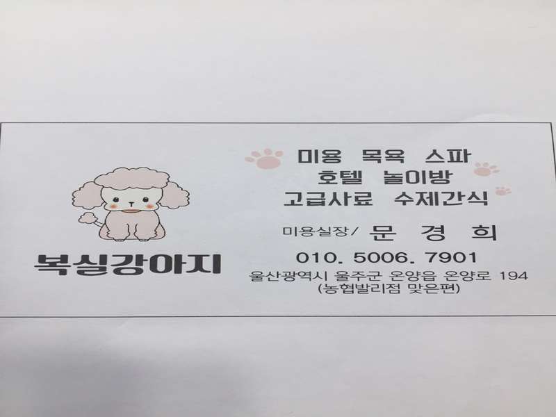 1.1 미용 특징