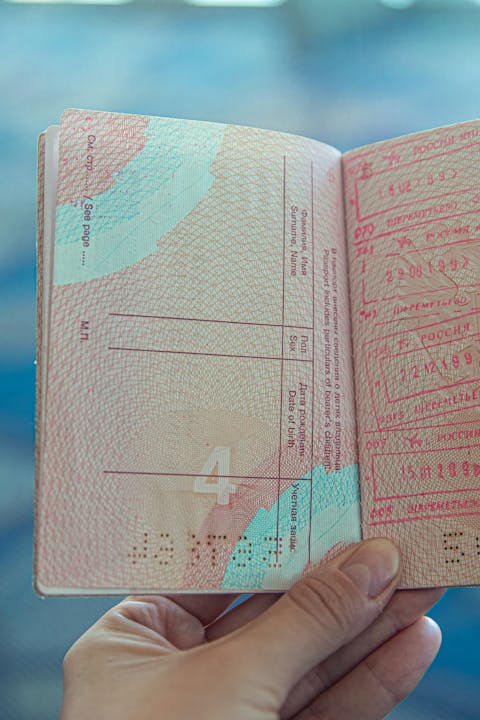 여권과 함께 있는 모습