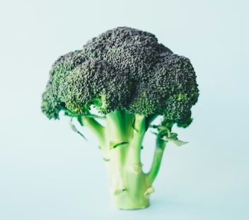 류마티스 관절염에 좋은 음식 영양제 식단