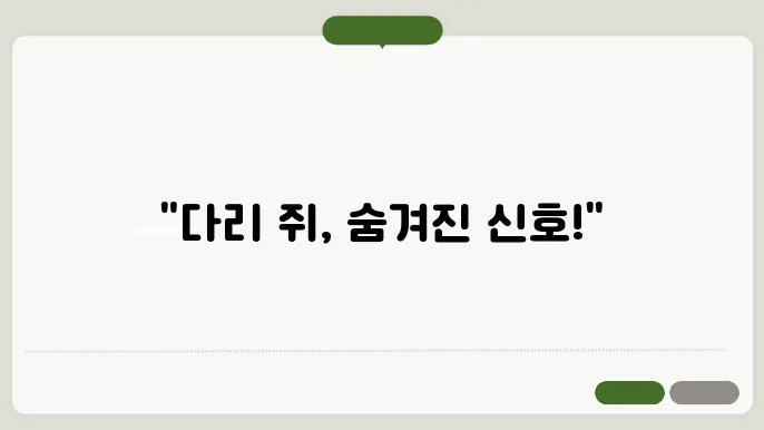 다리에 쥐가 나는 이유와 해결 방법