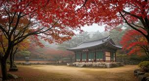 충청도 가을 단풍 명소