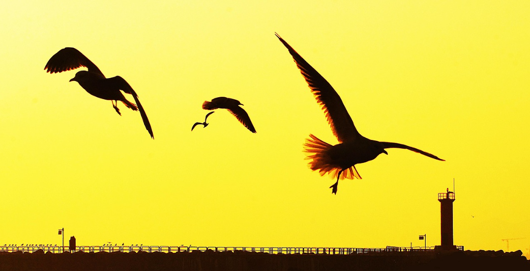강릉 여행 사진