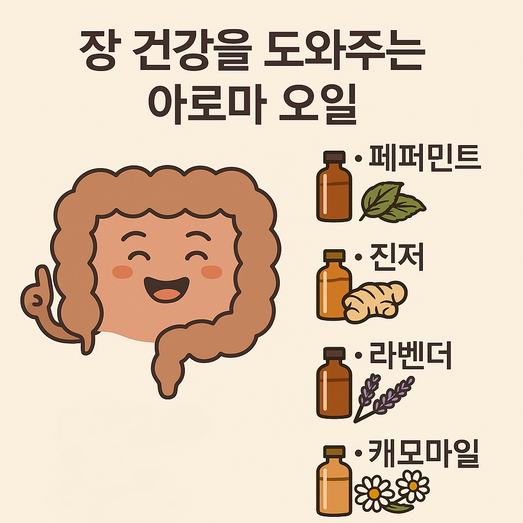 페퍼민트, 진저, 라벤더, 캐모마일 아로마 오일이 장 건강에 미치는 영향을 표현한 감성 일러스트 이미지