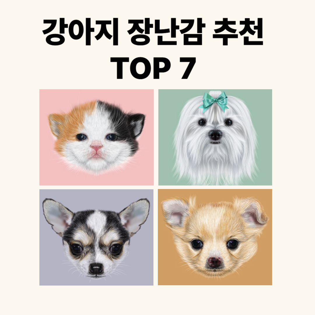 강아지 장난감 추천 TOP7