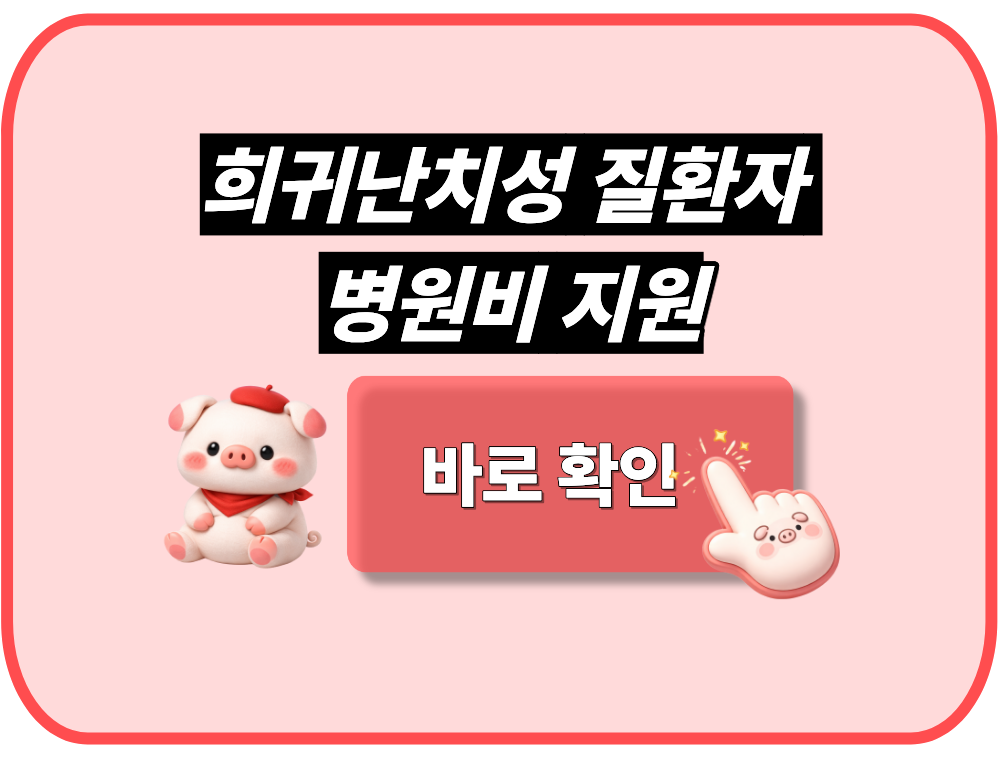 희귀난치성 질환자 병원비 지원
