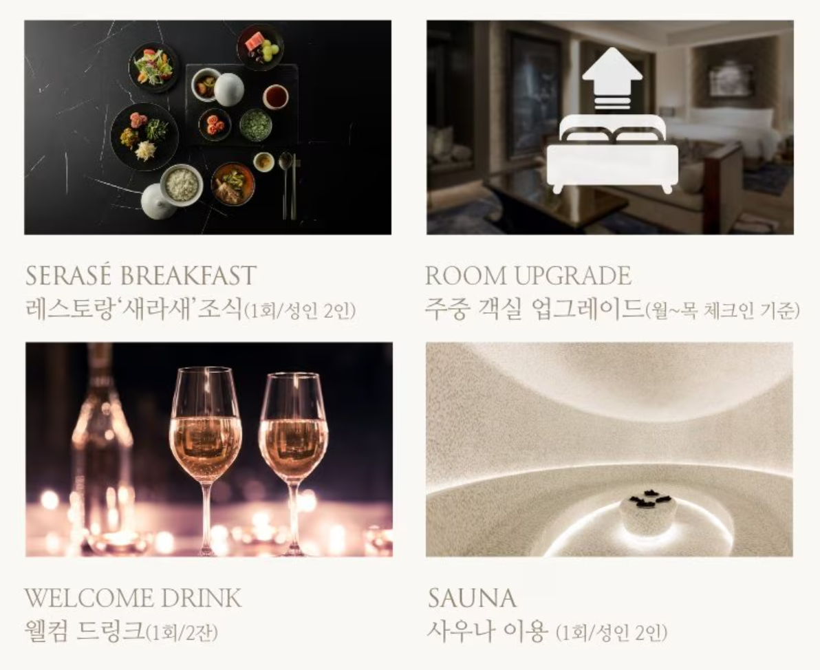 아트파라디소-구매-혜택