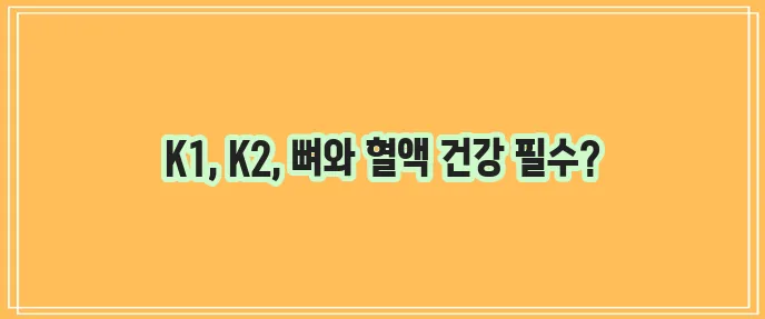 비타민K1 K2 효능과 함유식품 꼭 알아봐야겠죠?