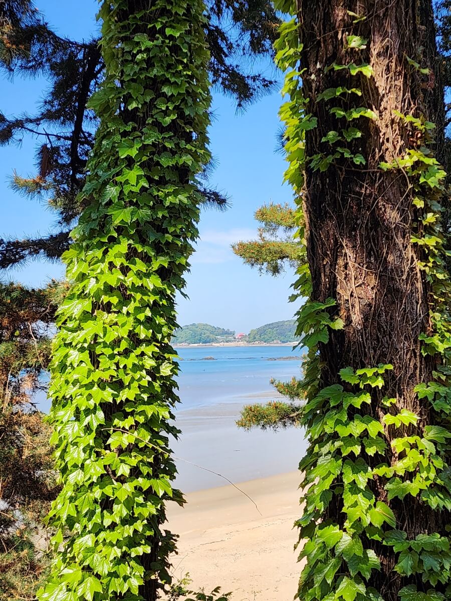 승봉도1
