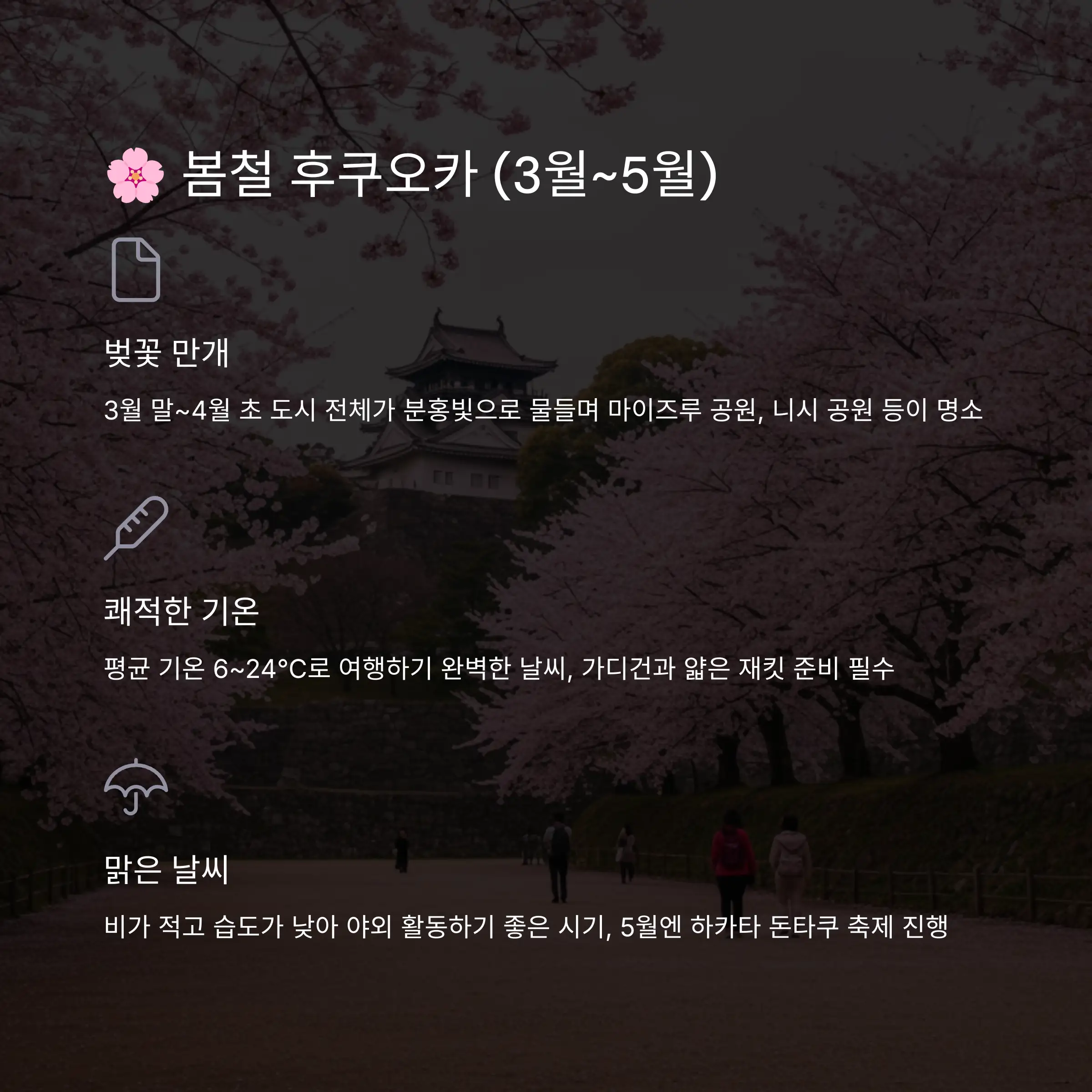 🌸 봄 (3월~5월) - 벚꽃의 계절