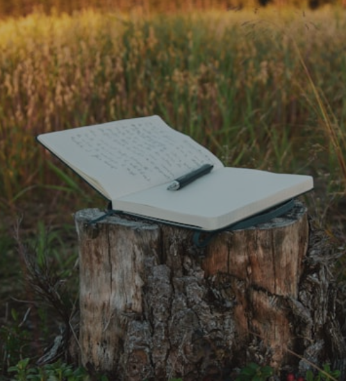 전통 리리시즘의 서정시와 비판적 리얼리즘의 목적시