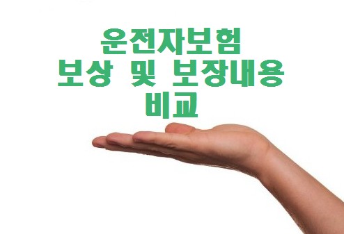 운전자보험 어디가 좋을까? 보험사별 차이점, 보상 &amp; 보장 내용 비교