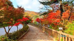 오대산 단풍 드라이브 코스