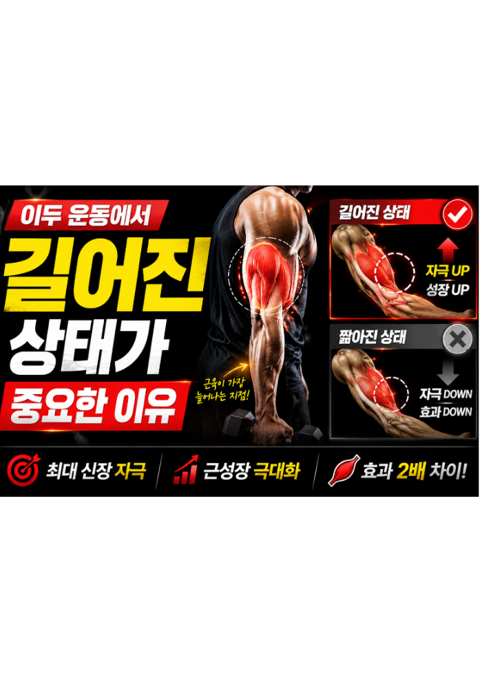 이두 운동에서 길어진 상태가 중요한 이유
