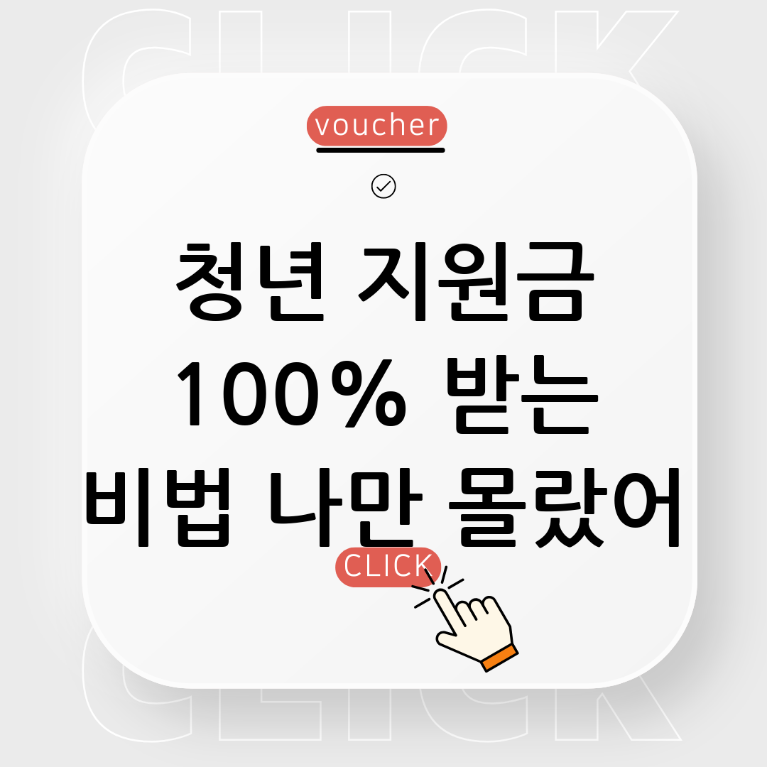 청년 지원금