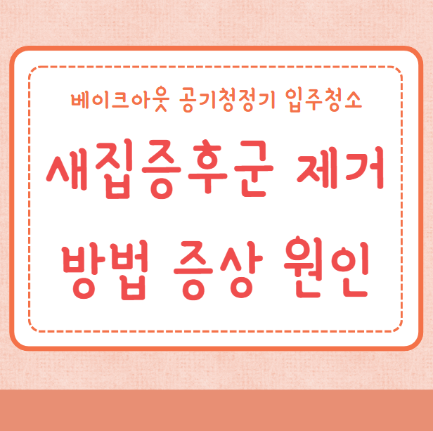 새집증후군 제거방법 증상 원인