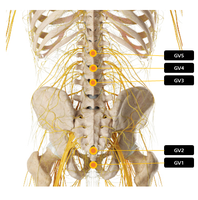 허리 주변 혈자리 요약