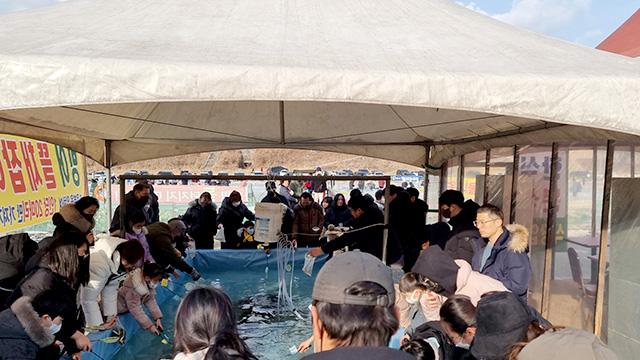 2025 설빙 청평 송어빙어 축제 관련 사진