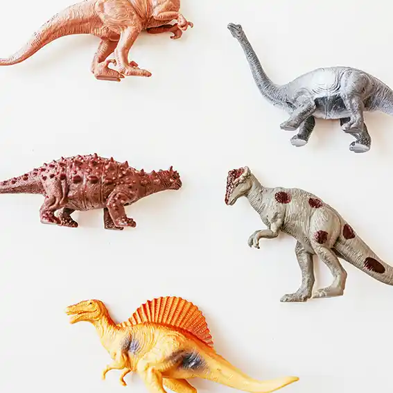 해남 공룡대축제 어린이날