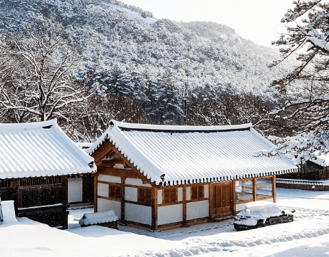 겨울 여행지 추천