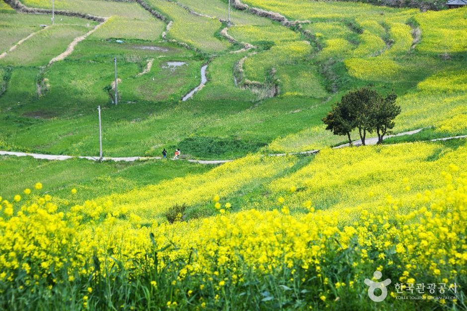 완도 가볼만한곳 베스트10