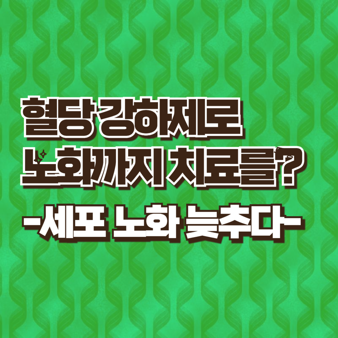 혈당강하제 노화치료
