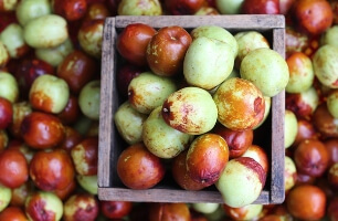 가을 과일 대추