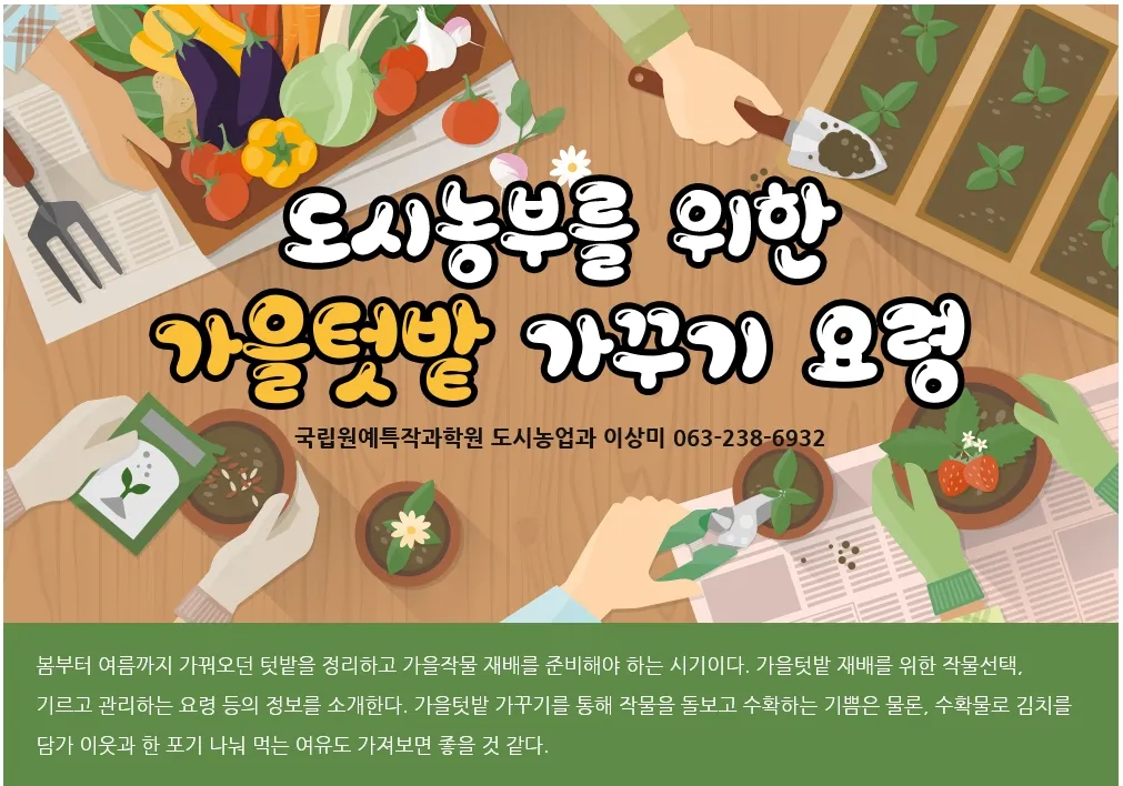 가을 텃밭 작물 추천 상추 열무 시금치 쌈채소 재배법_3